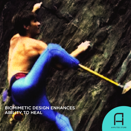 Biomimetic prosthetic design enhances an amputee's ability to heal and rehabilitate.