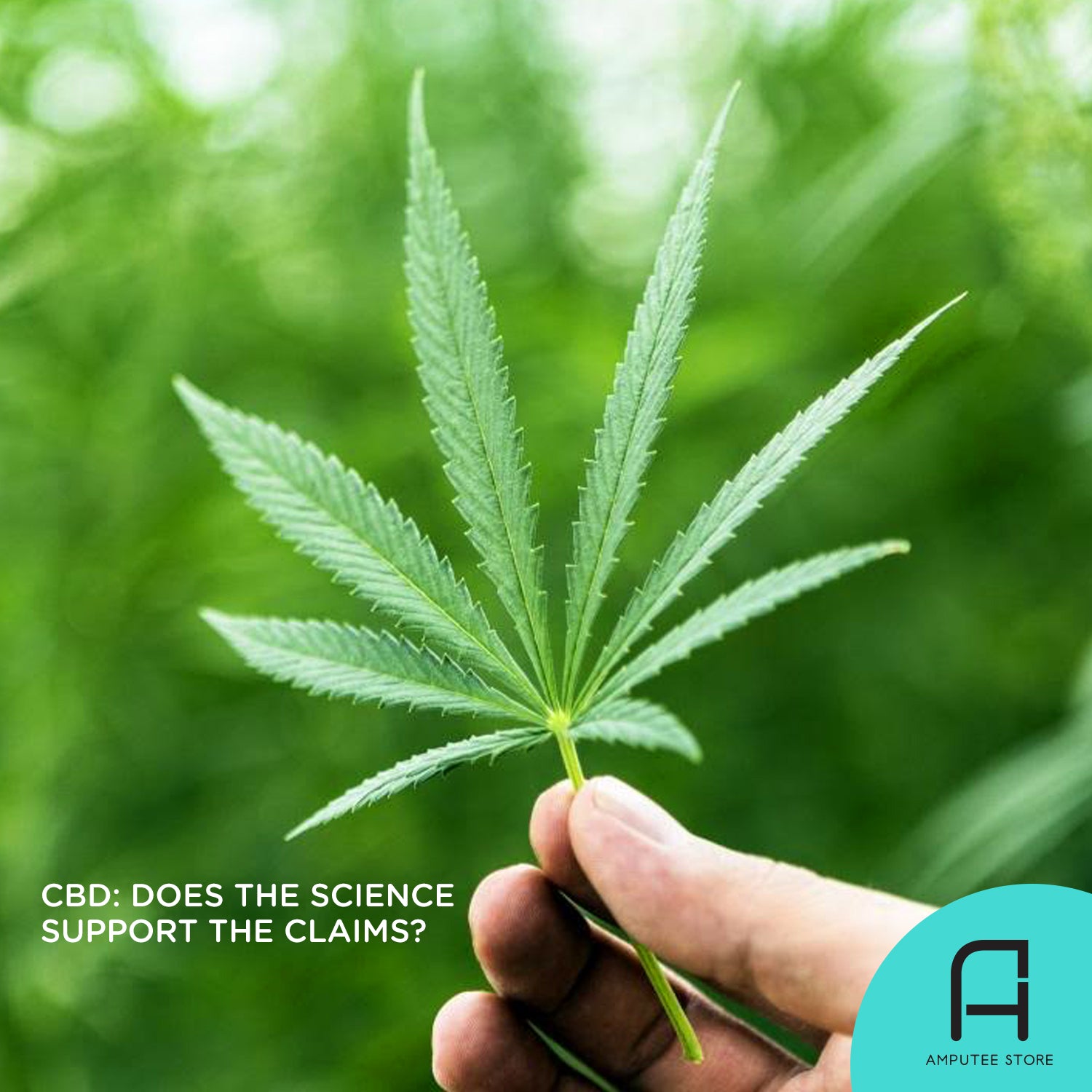 Does the science of CBD support the health claims?
