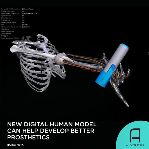 Meta's MyoSuite can help develop better prosthetic limbs.