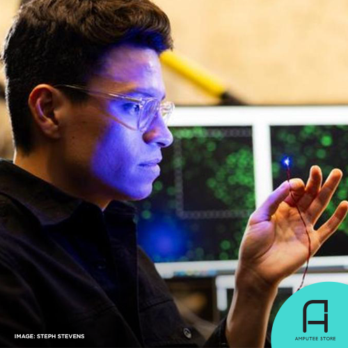 New MIT Method Uses Light to Control Muscles | Amputee Store